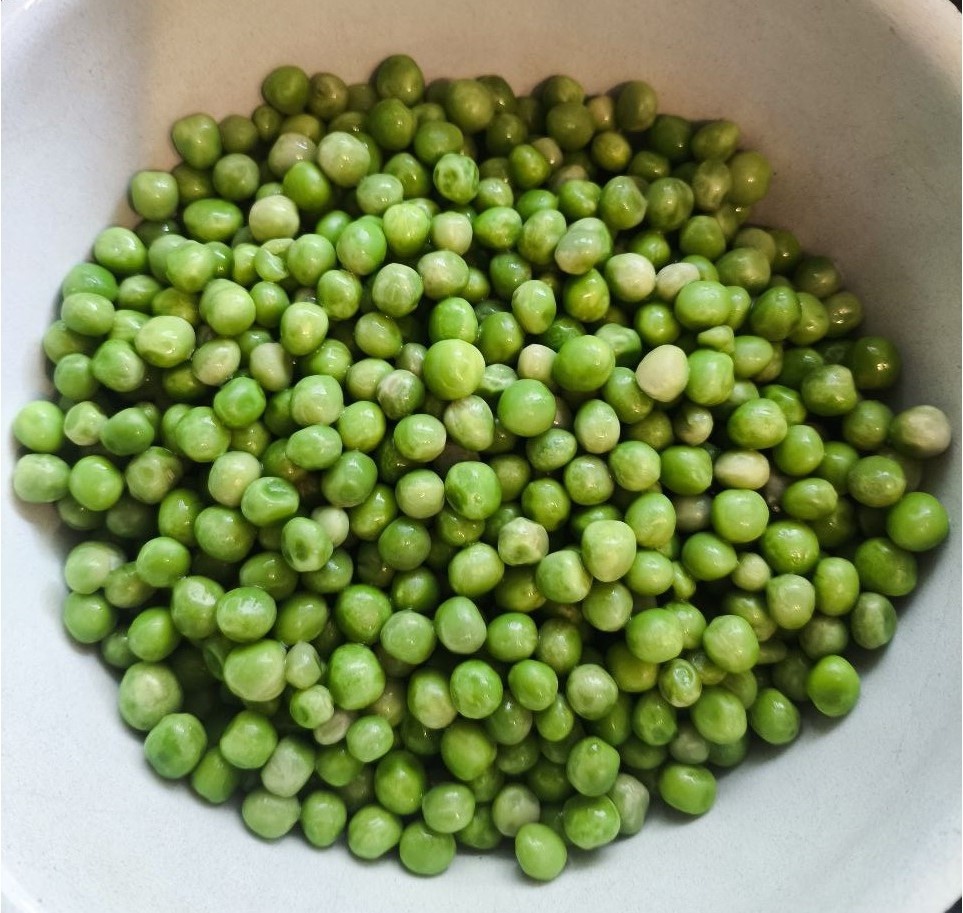 Пример того, каким цветом должен быть свежезамороженный горошек. Этот горошек пролежал около часа в тепле. Но размораживать заранее совсем не обязятельно.