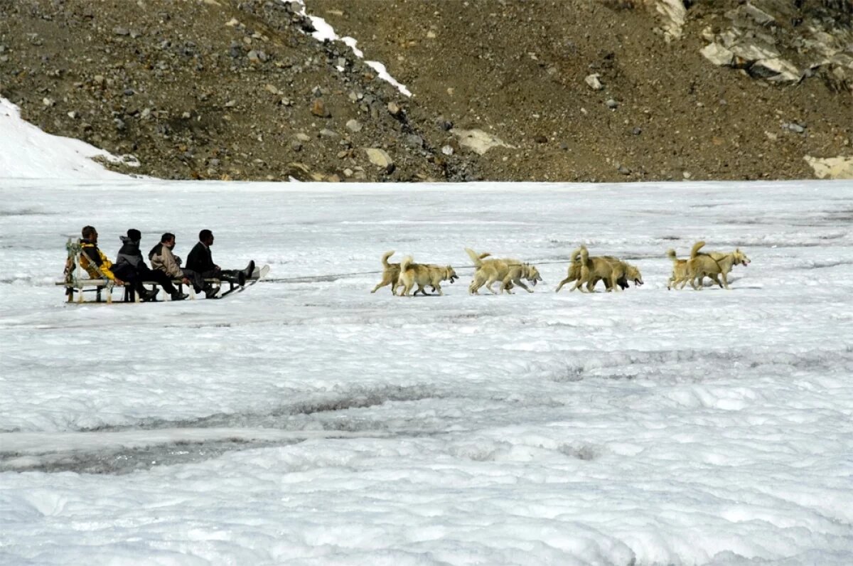    В своих рейдах члены «Сириуса» преодолевают тысячи километров по ледяной пустыне, полагаясь исключительно на собственные навыки выживания.