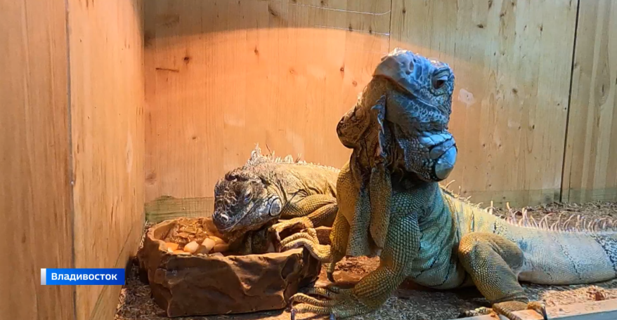    Источник фото: