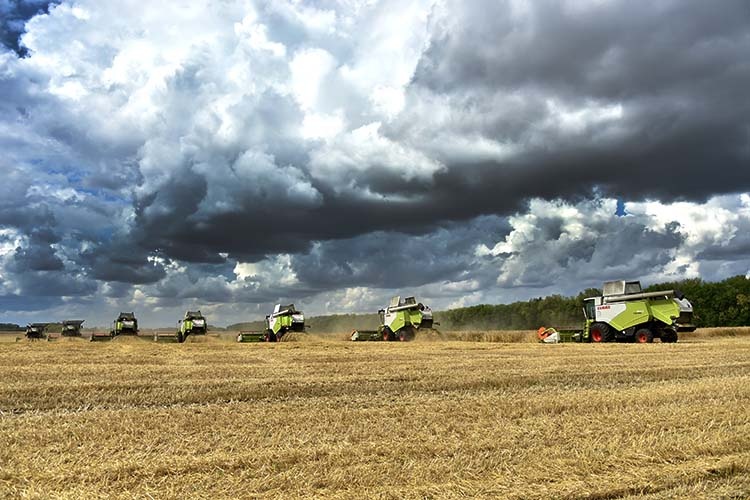Голосовать!Дожди «смыли» 3,6 млрд рублей
