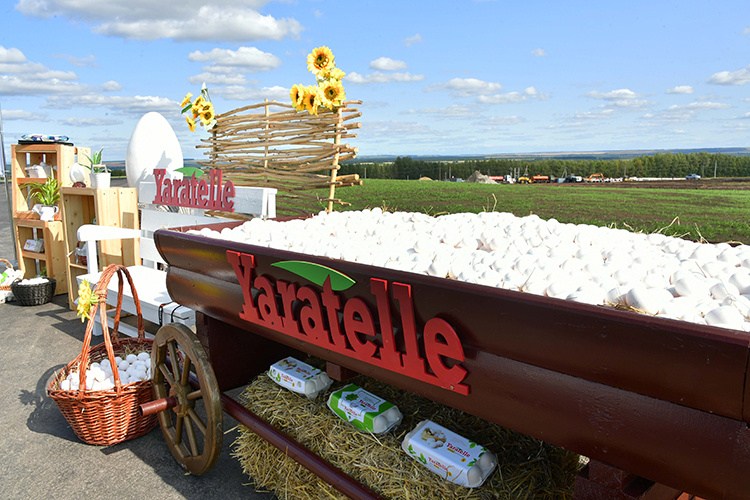 Голосовать!Взялись за яйца: мегакурятник «Ак Барс Холдинга» за 11 миллиардов
