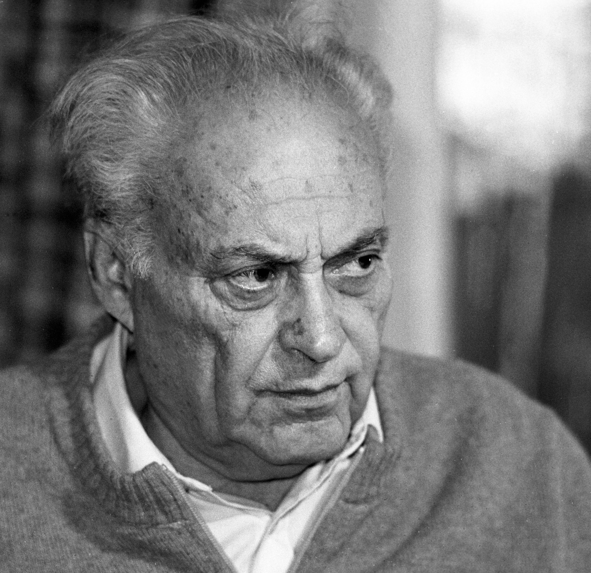    Анатолий Наумович Рыбаков. 1987 / Владимир Федоренко / РИА Новости