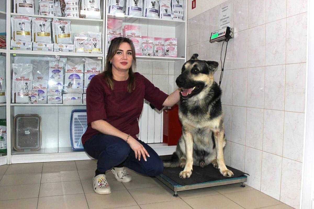    Фото: Правительство Ростовской области