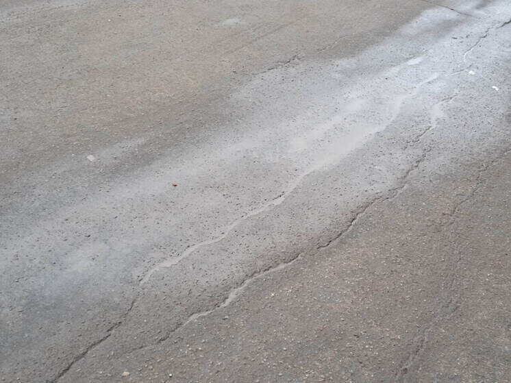     Фото: Архив МК в Питере.