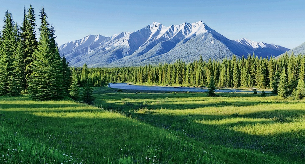 Китайский Алтай — знакомая тайга в чужих координатах