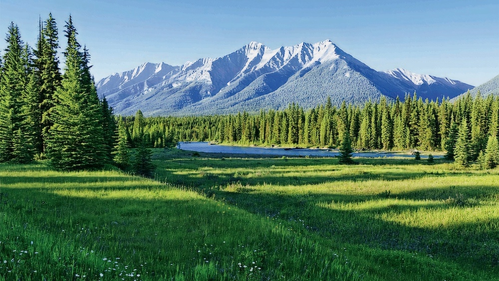 С трудом верится, что это тоже Китай