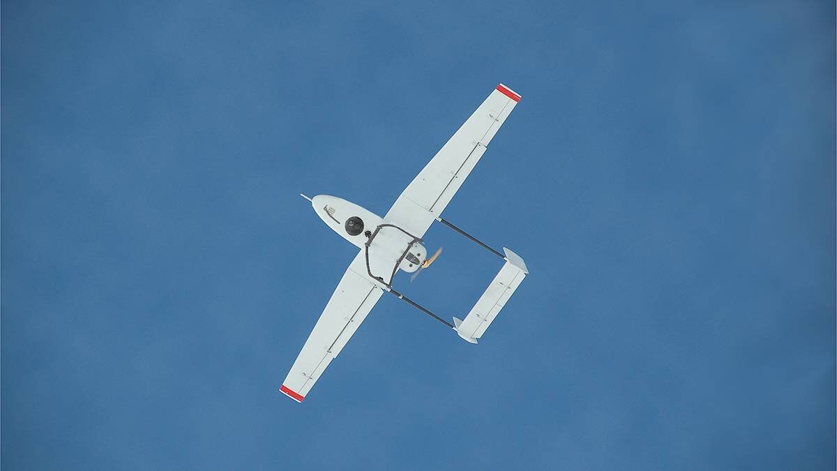    Фото: Shutterstock