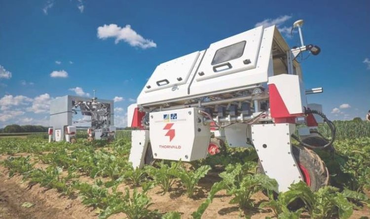    Фото: Volker Lannert / PhenoRob, University of Bonn