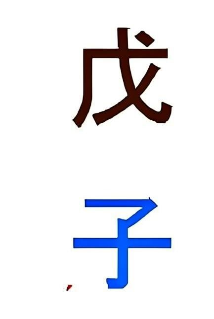 Земля ян на крысе.