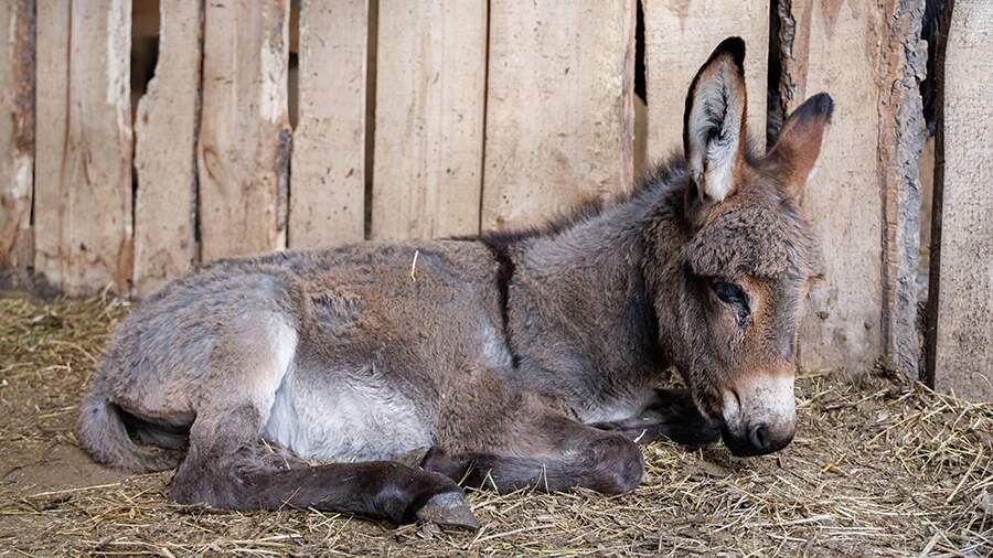    Фото: ТАСС/Бизнес Online/Сергей Елагин