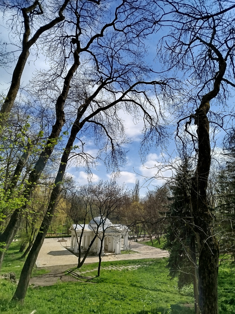 Фото автора.