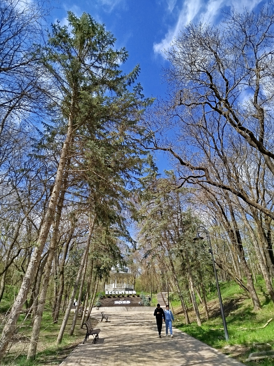 Фото автора.