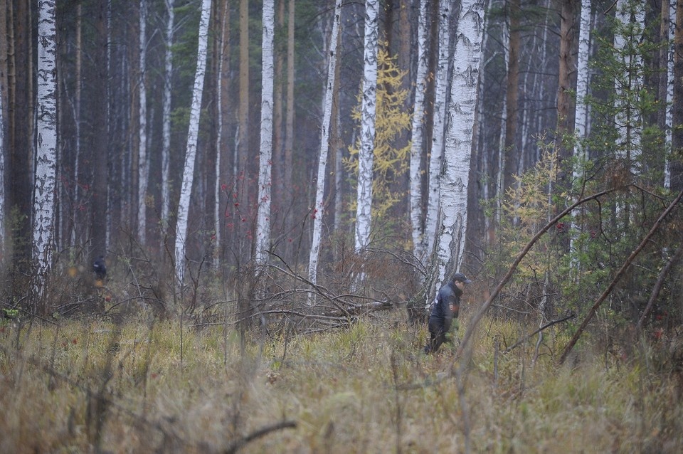    Тело девушки нашли в 30 км от дома. Алексей БУЛАТОВ