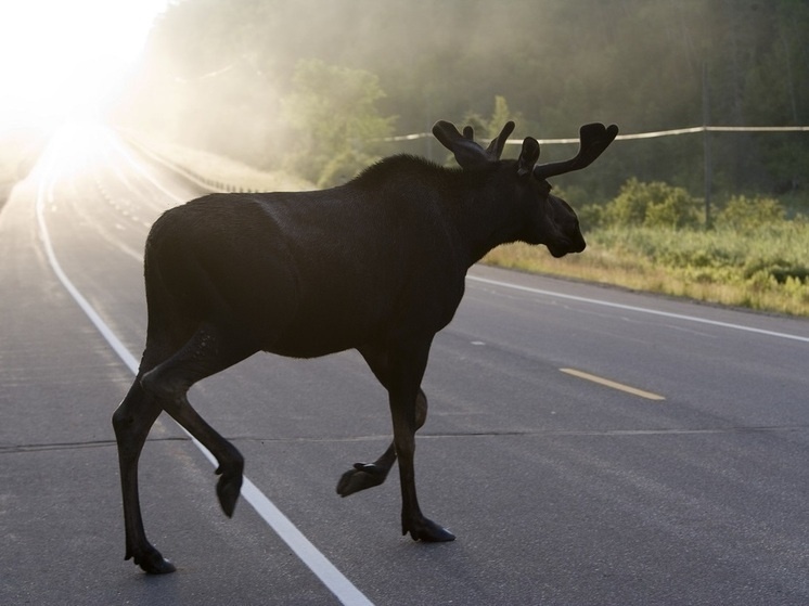     Фото: Global Look Press