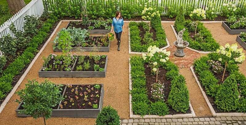 Яндекс. Картинки