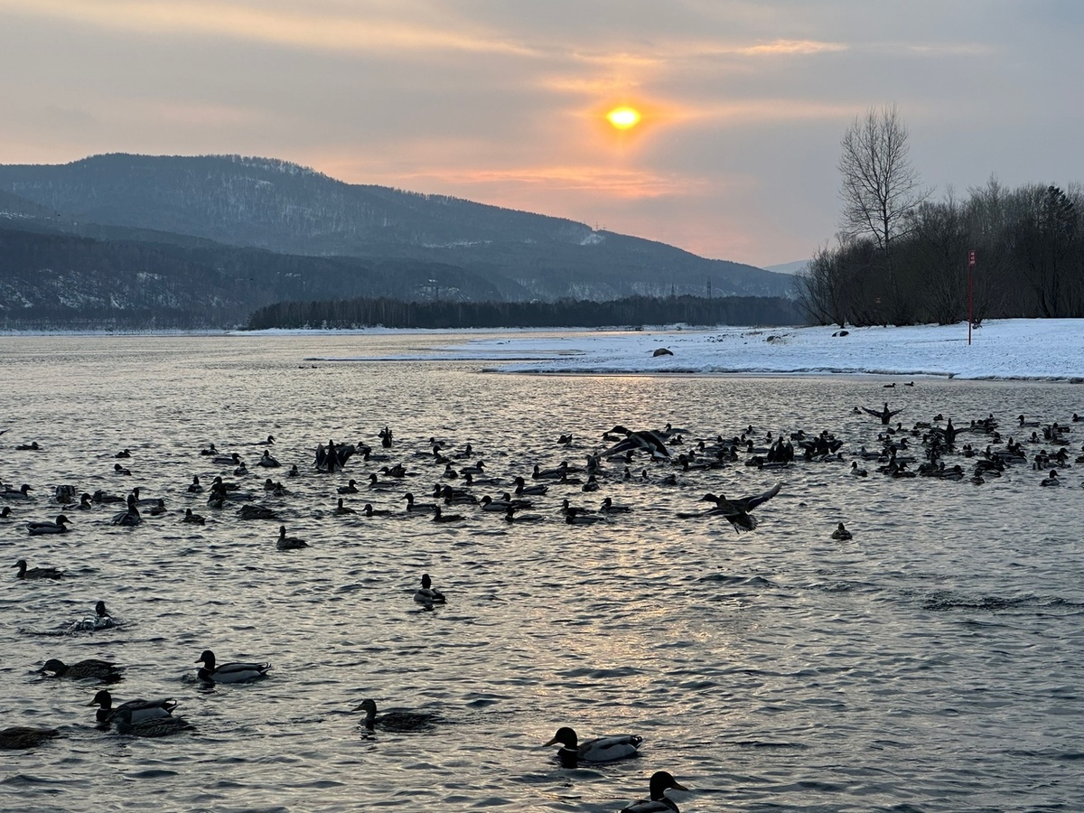 Автор фото - моя дочь