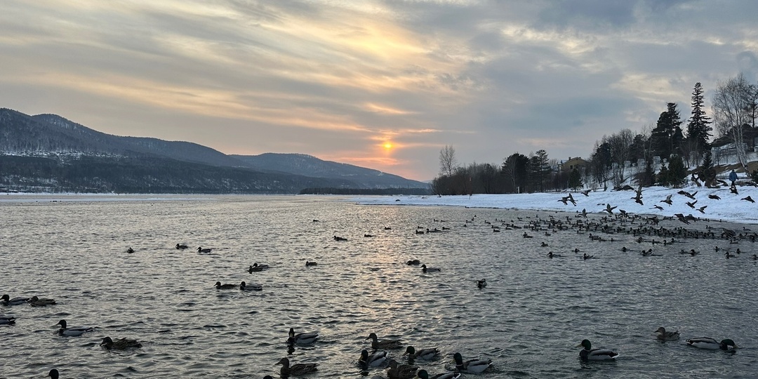 Обещанный образец сочинения ЕГЭ со связью аналогия (к варианту "Листопад")
