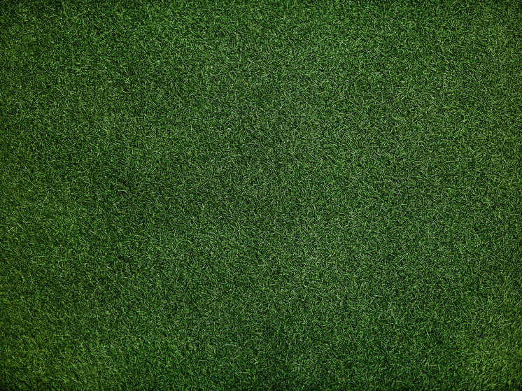     фото: ru.freepik.com