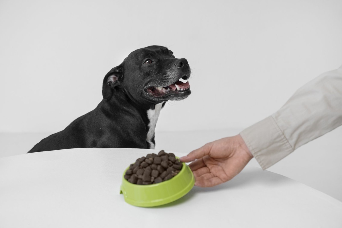    Снижение веса собаки может быть как нормой, так и патологией