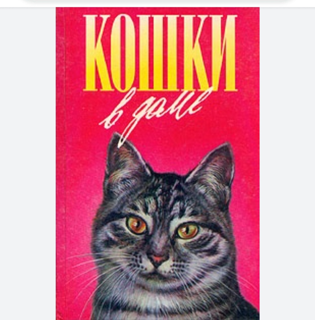 Фото из свободного доступа в интернете.