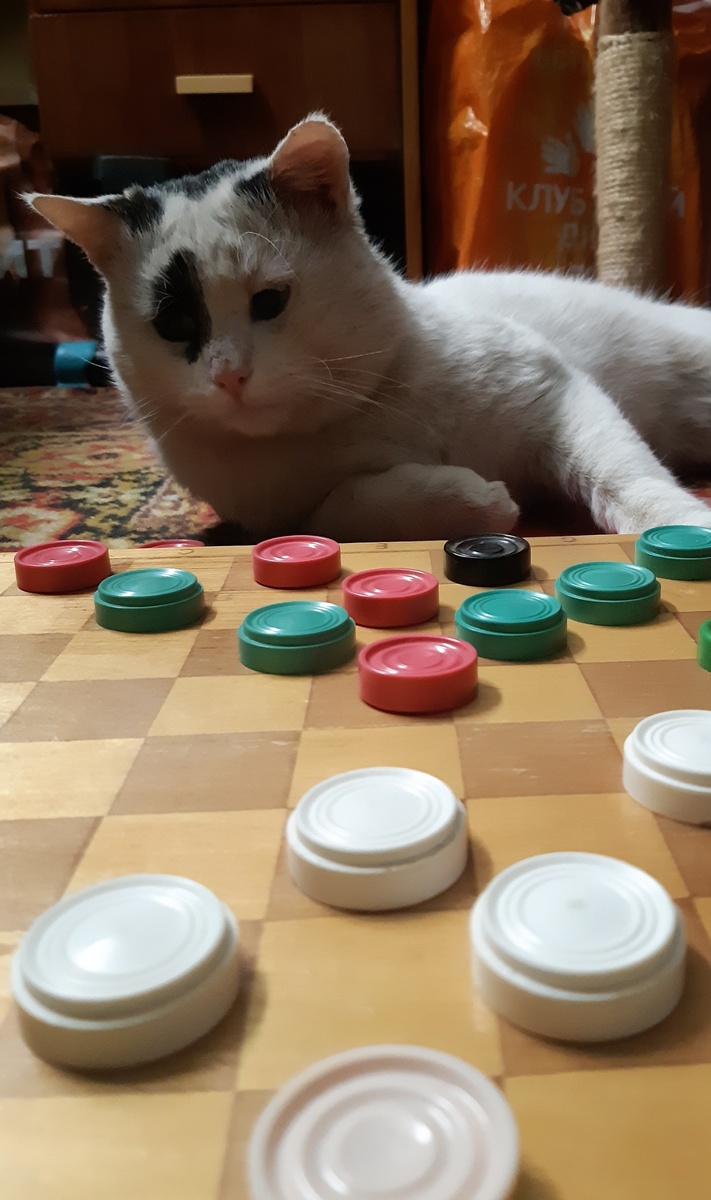 Китя тренирует ментальный интеллект мужа)