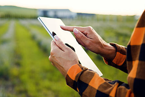 Инженеры в полях