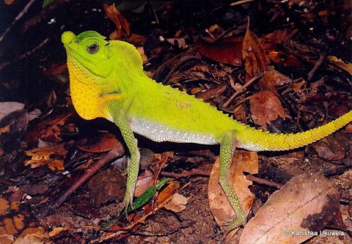 Тот самый профиль, который невозможно перепутать ни с кем другим.