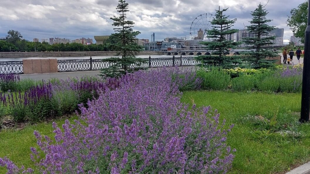    Фото: Царьград.