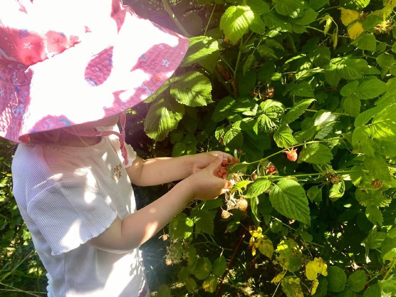 Когда поняла, что ребенок уже в состоянии сам добывать себе пропитание!👍