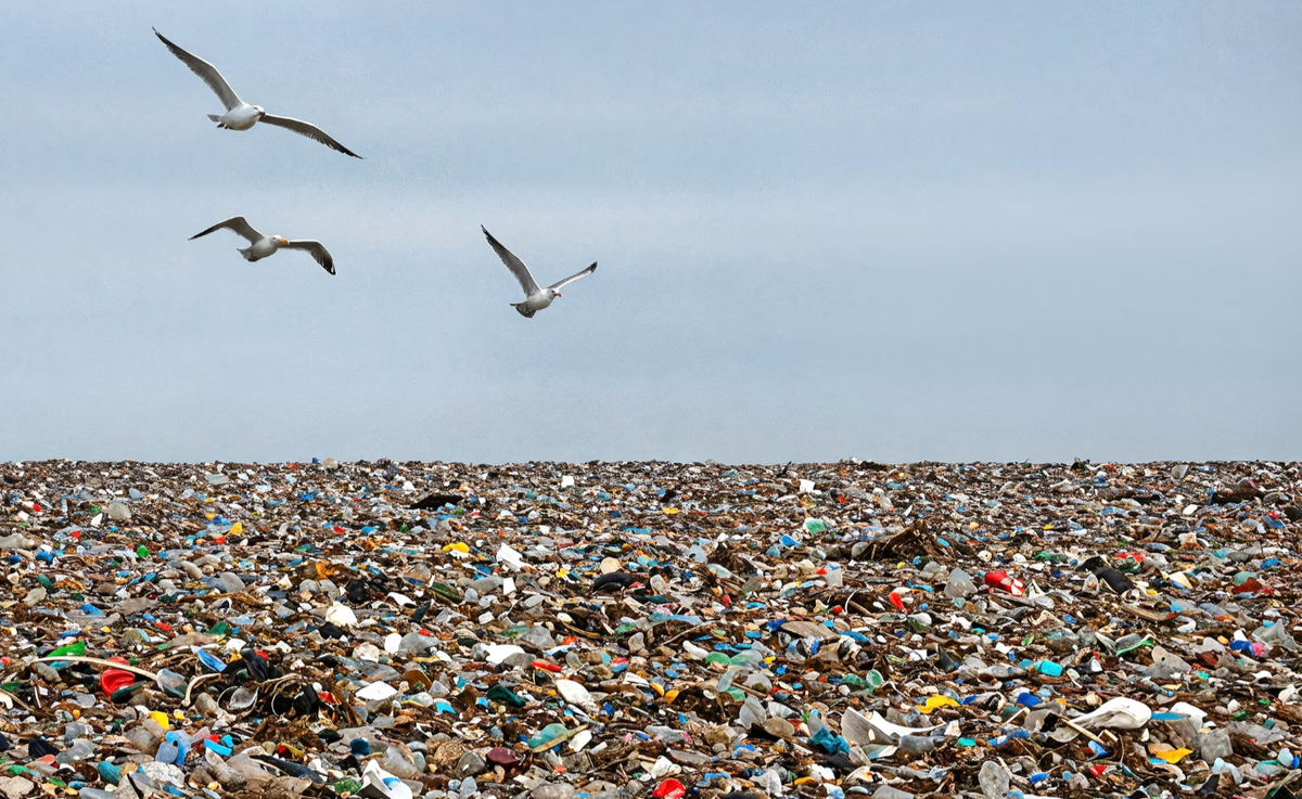 фото:freepik.com