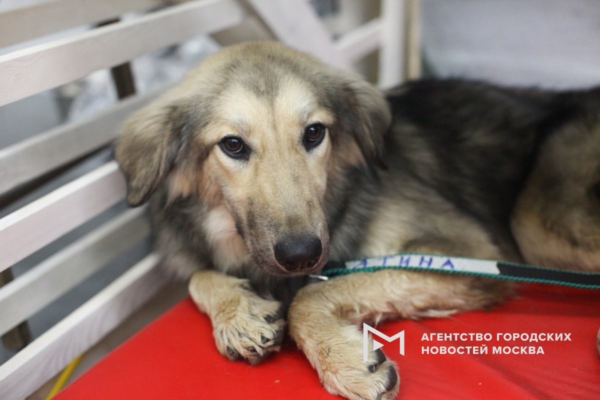 Фотограф: Сергей Ведяшкин