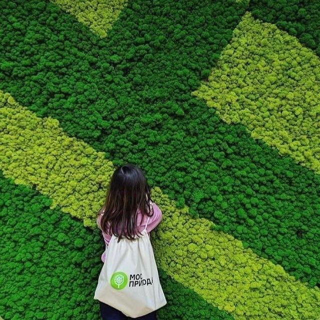 Стабилизированный мох NatureWalls