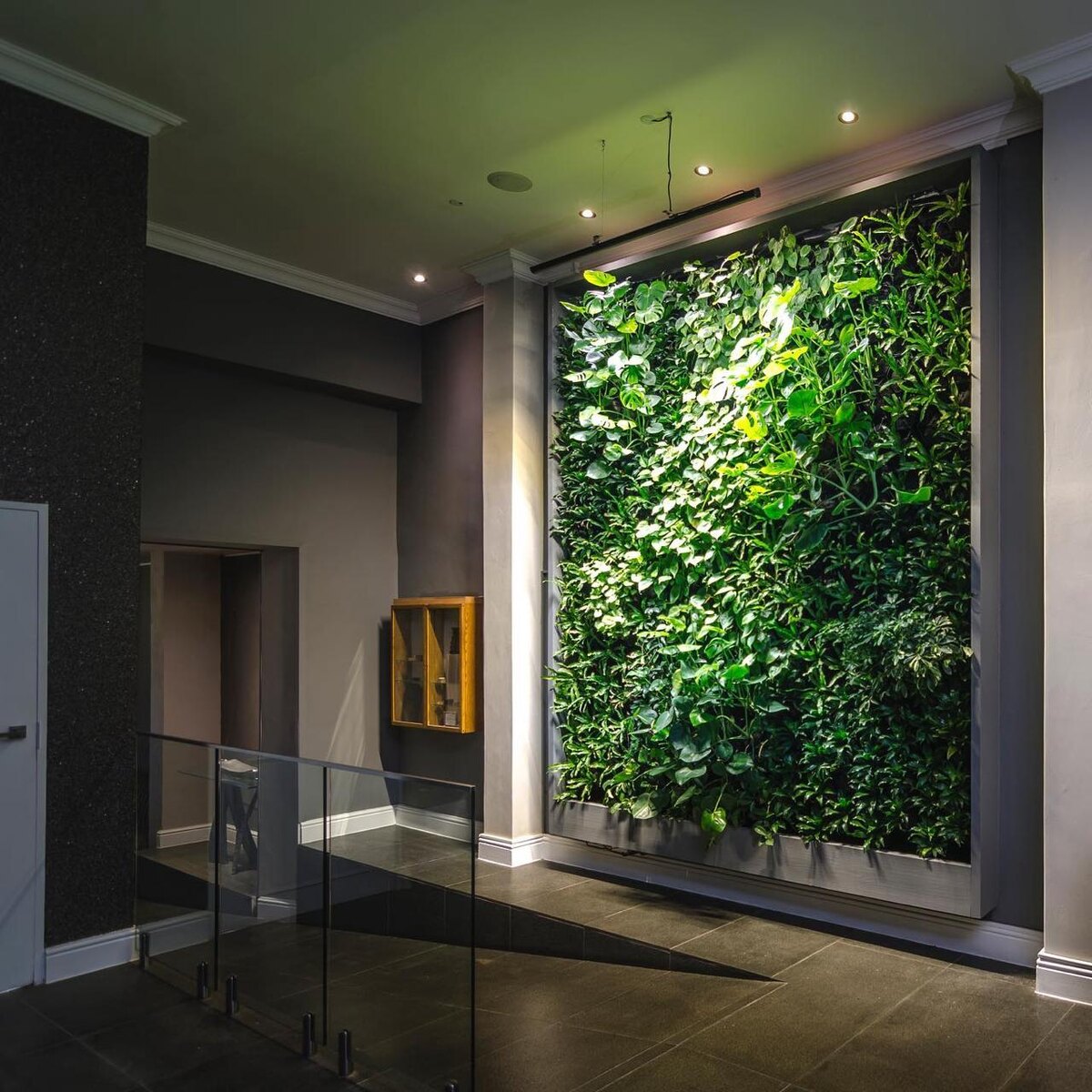 Стена из живых растений NatureWalls