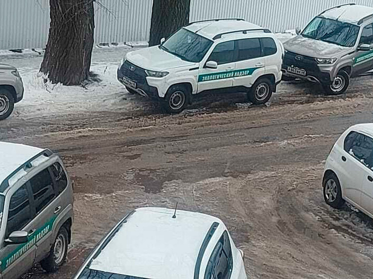     фото: Официальный канал Министерства природных ресурсов и экологии Липецкой области