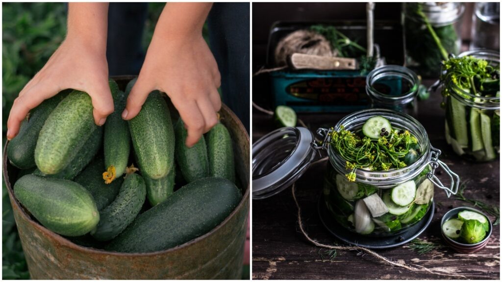    Фото: unsplash.com