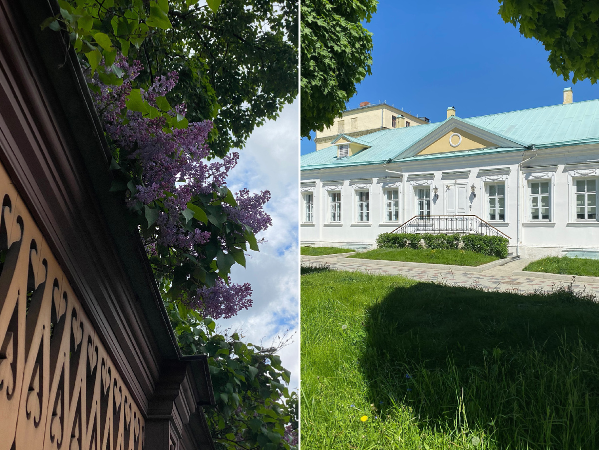 Фото автора канала. Музей Толстого и усадьба Всеволожских.