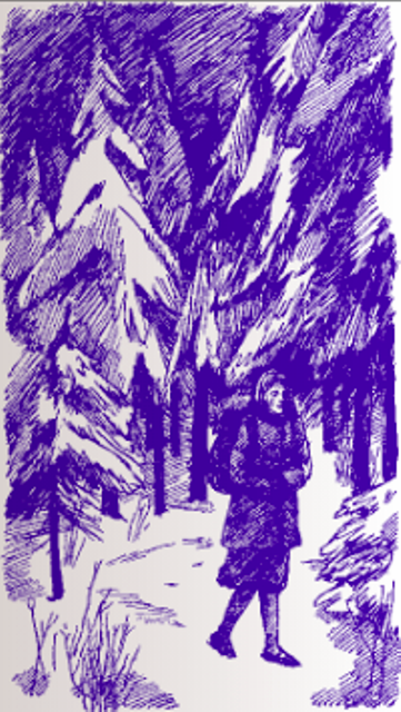 Иллюстрация из книги.