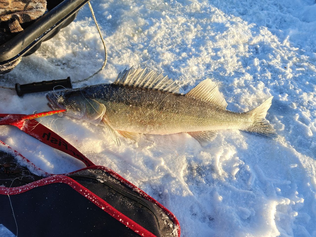 На Куду 120 Хот Пеппер