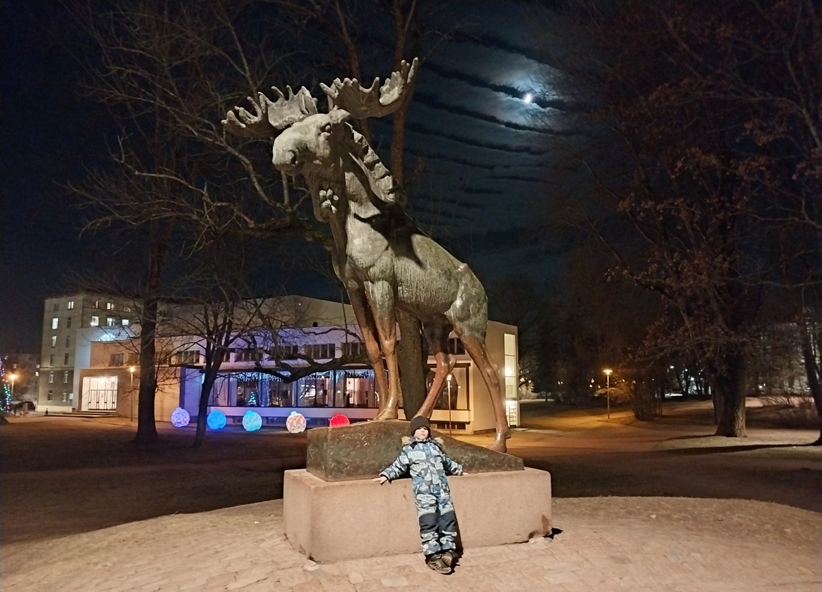 Итак, Даниил не пропустил ни одного года своей жизни без предновогоднего Выборга... И в первый раз увидел его без снега в конце декабря..