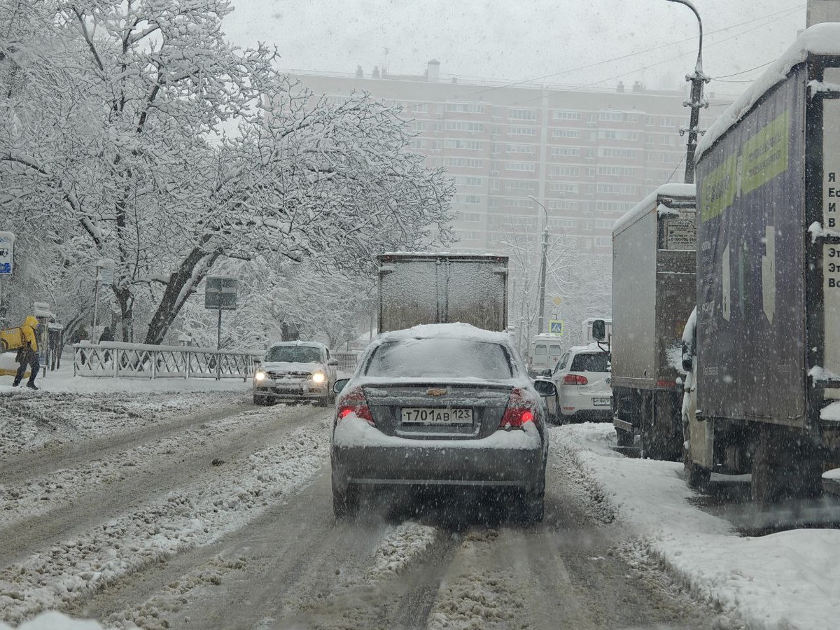    Фото: Юрий Серебренников/BFM Кубань