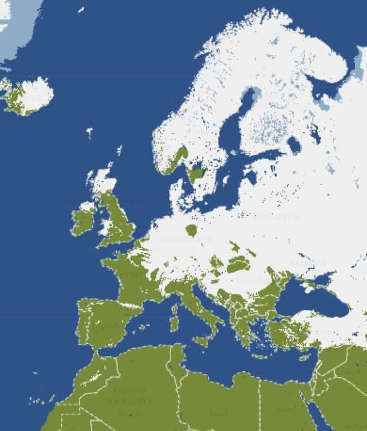 Снежное покрытие в Европе 5 января 2026 года, самое большое с января 2019 года. Источник: the.world.in.maps.