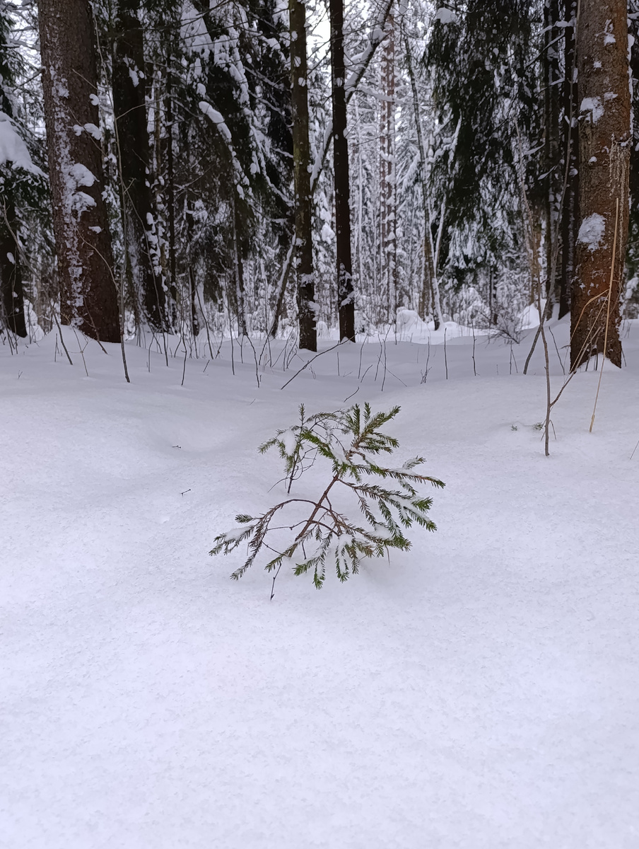 Я среди других каналов 😄