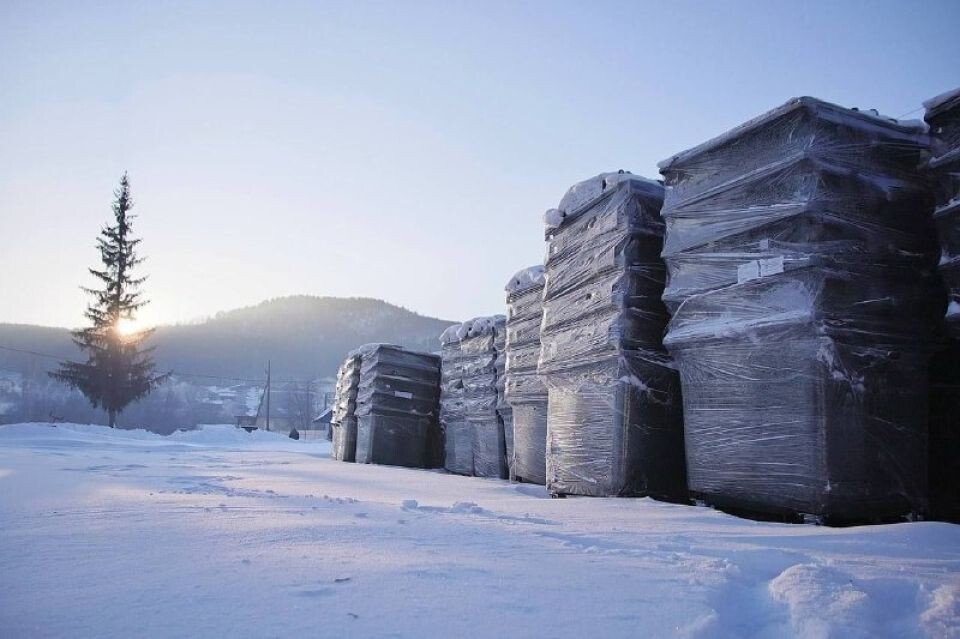    Новые контейнеры для сбора мусора. Источник: t.me/OlgaSafronovaofficial