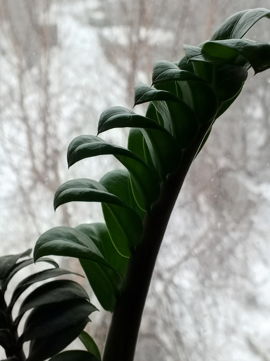 Фото автора канала.