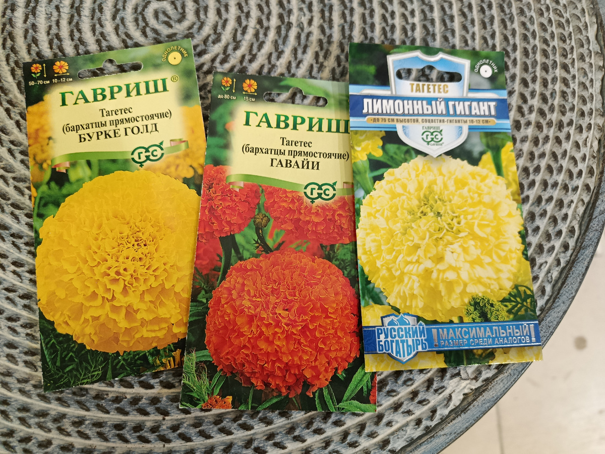 Мои новые сорта на сезон 2026 г.