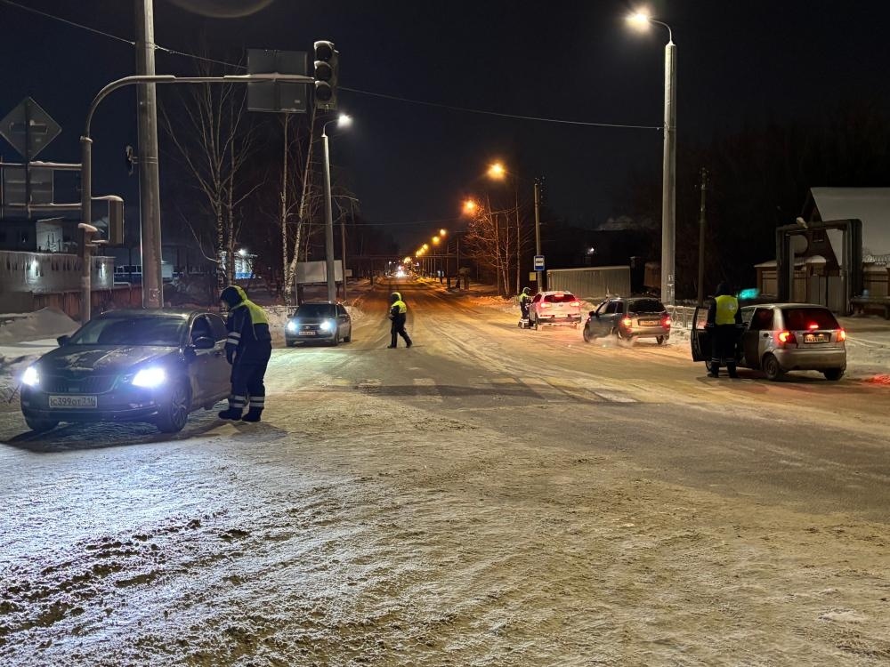 Фото: Госавтоинспекция МВД по Марий Эл