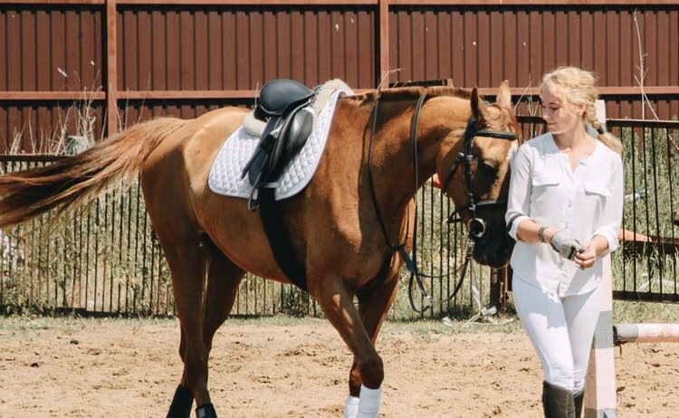    Фото: Дмитриева Диана