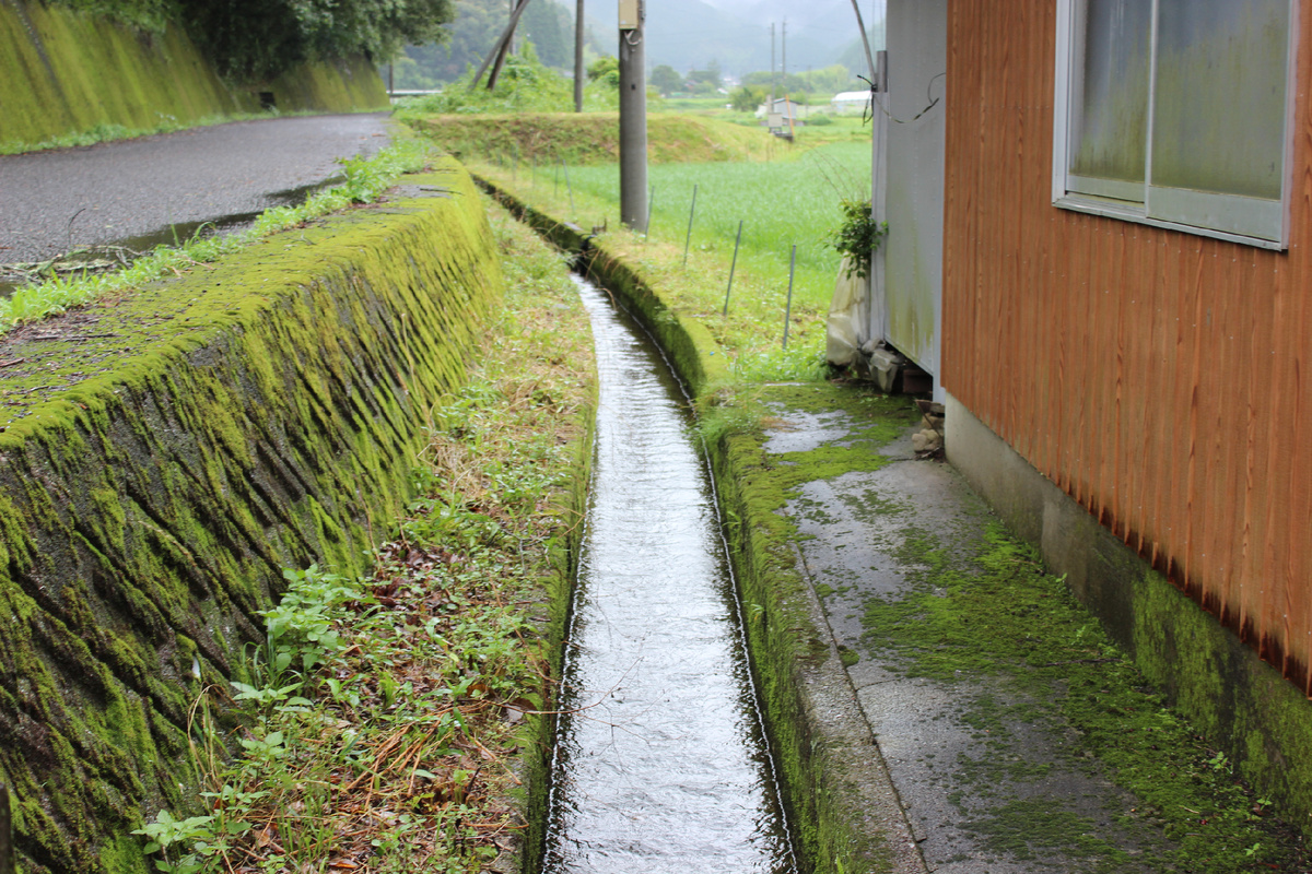 Вариант организации ливневки на дачном участке