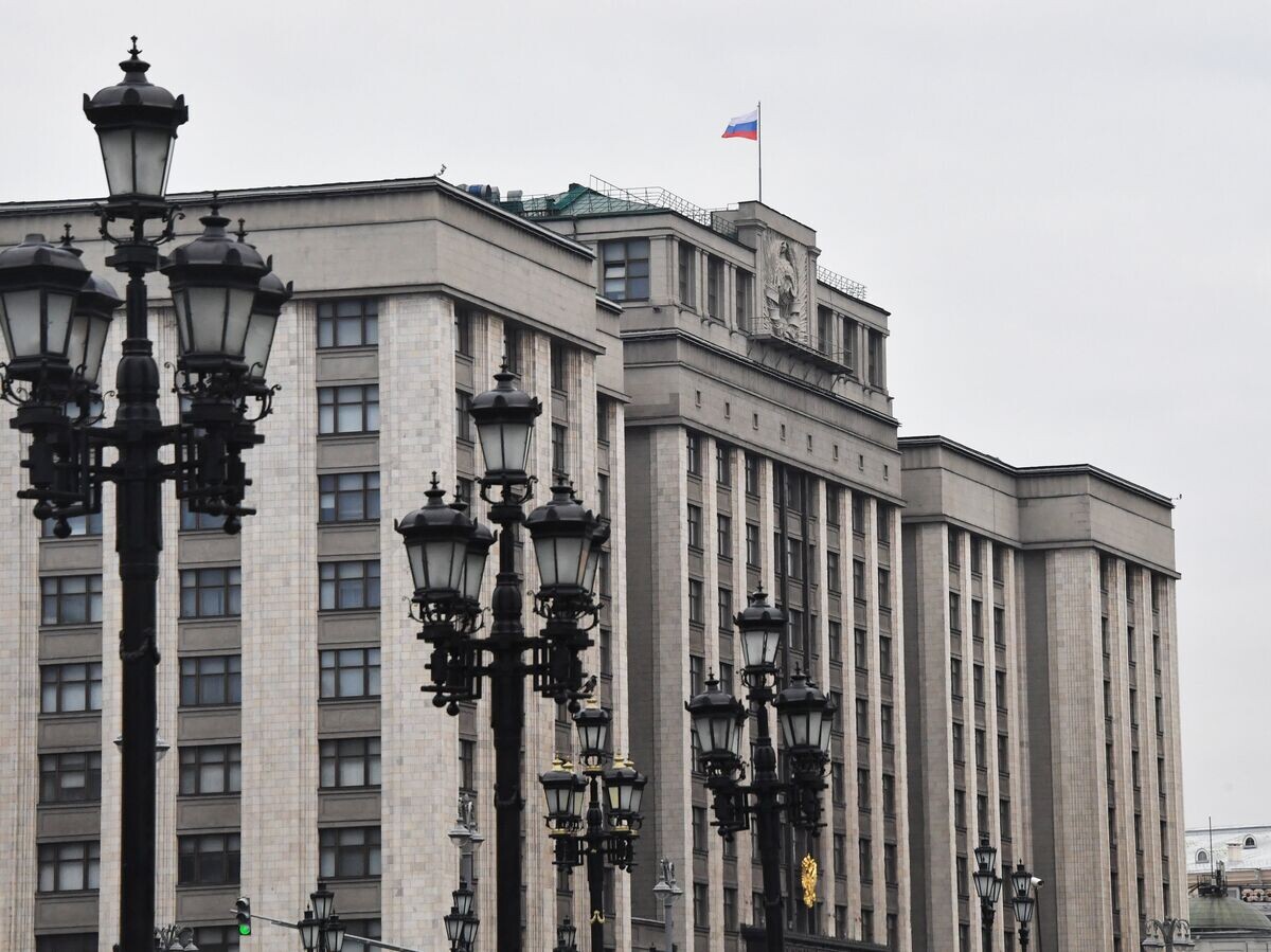    Здание Государственной Думы РФ | © РИА Новости / Наталья Селиверстова