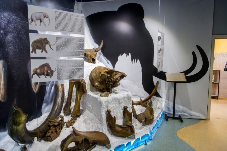    Фото Андрея Заржецкого